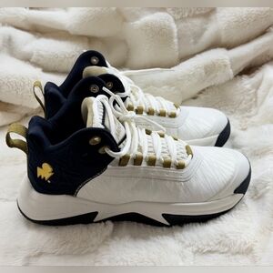 These are Moolah Kicks Press Brake V2 basketball sneakers for kids